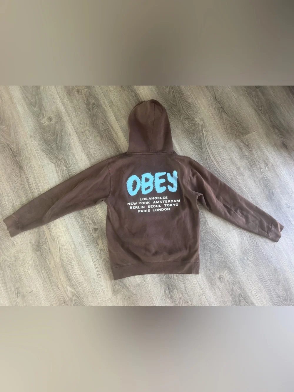 Obey Men's Brown Crewneck Hoodie with Light Blue Logo
